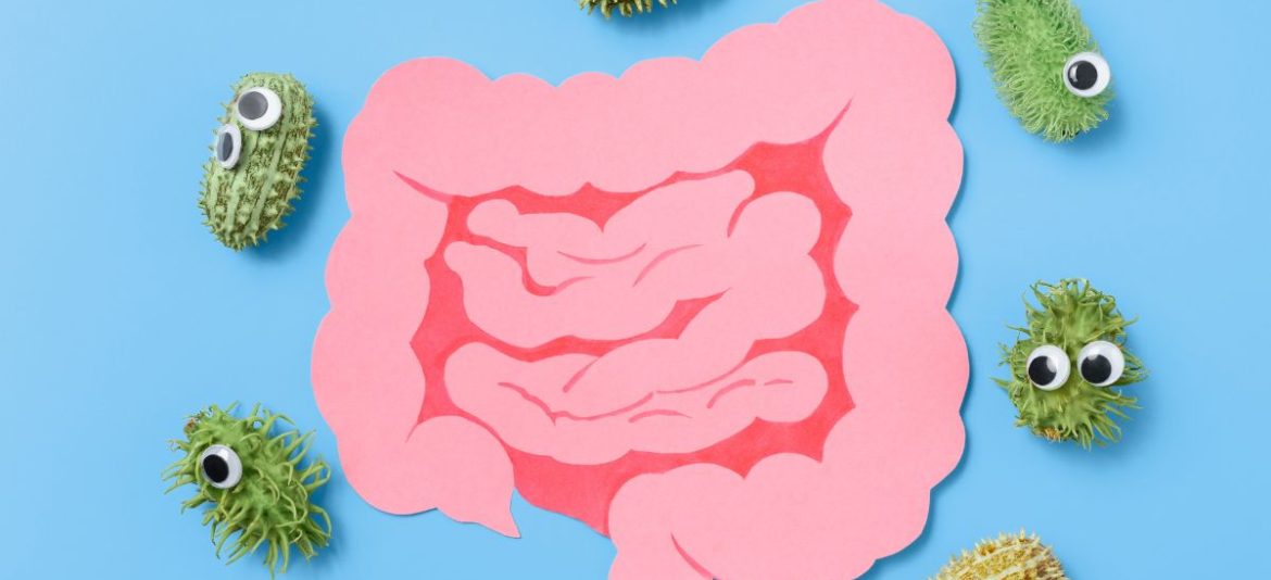 microbioma intestinal